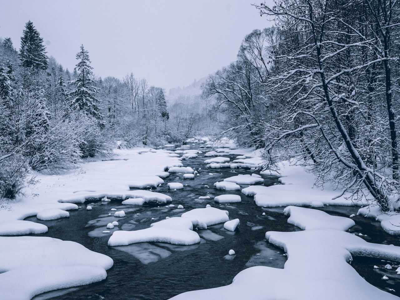Zdjecie miejsca Bieszczadzki Park Narodowy