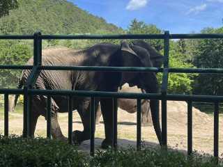 Zdjecie miejsca Gdański Ogród Zoologiczny