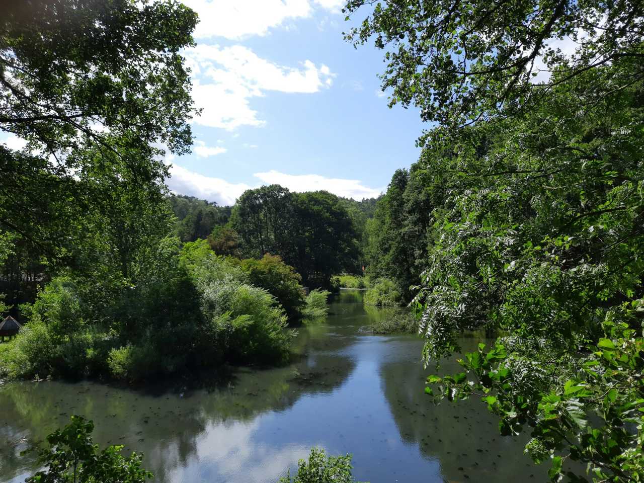 Zdjecie miejsca Gdański Ogród Zoologiczny