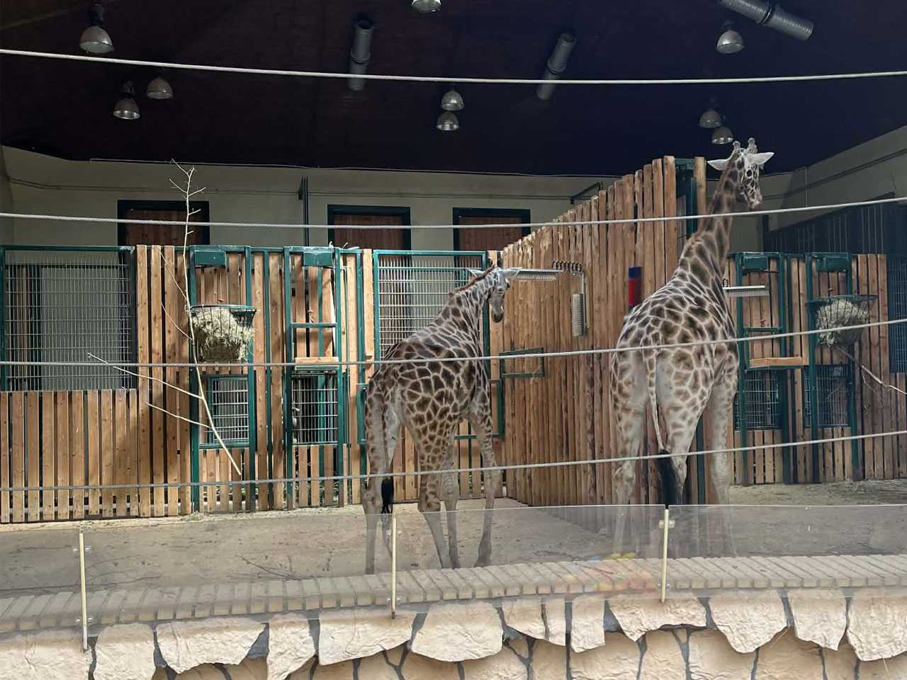 Zdjecie miejsca Gdański Ogród Zoologiczny