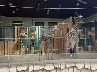 Zdjecie miejsca Gdański Ogród Zoologiczny