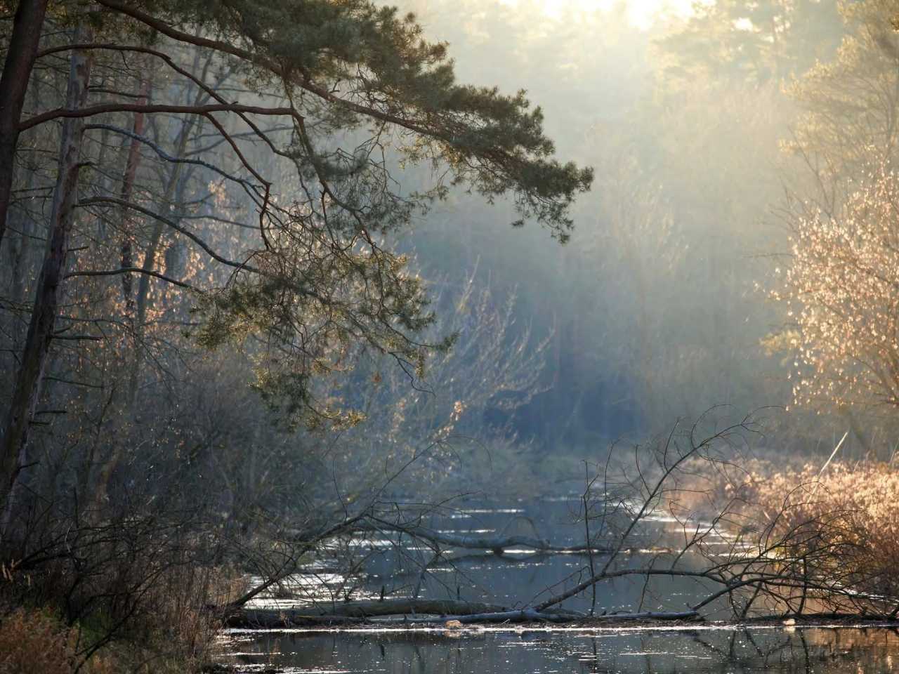 Zdjecie miejsca Kampinoski Park Narodowy