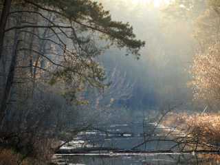 Zdjecie miejsca Kampinoski Park Narodowy