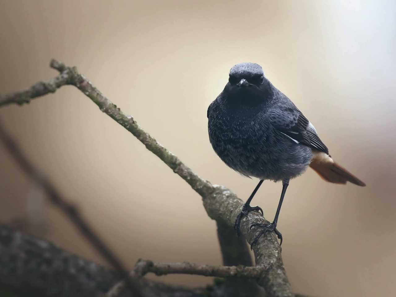 Zdjecie miejsca Kampinoski Park Narodowy