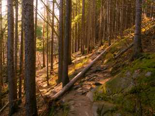 Zdjecie miejsca Karkonoski Park Narodowy