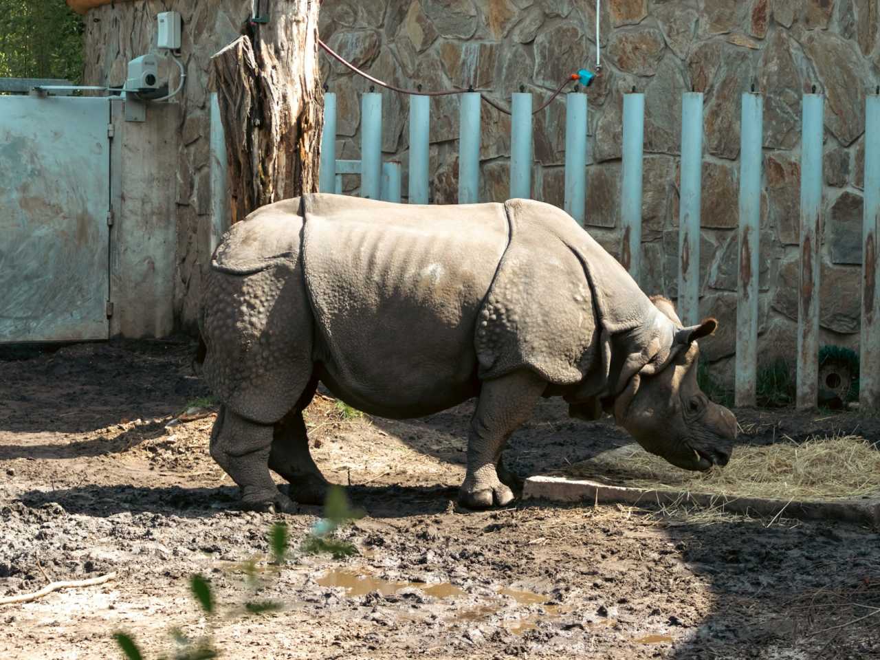 Zdjecie miejsca ZOO Wrocław