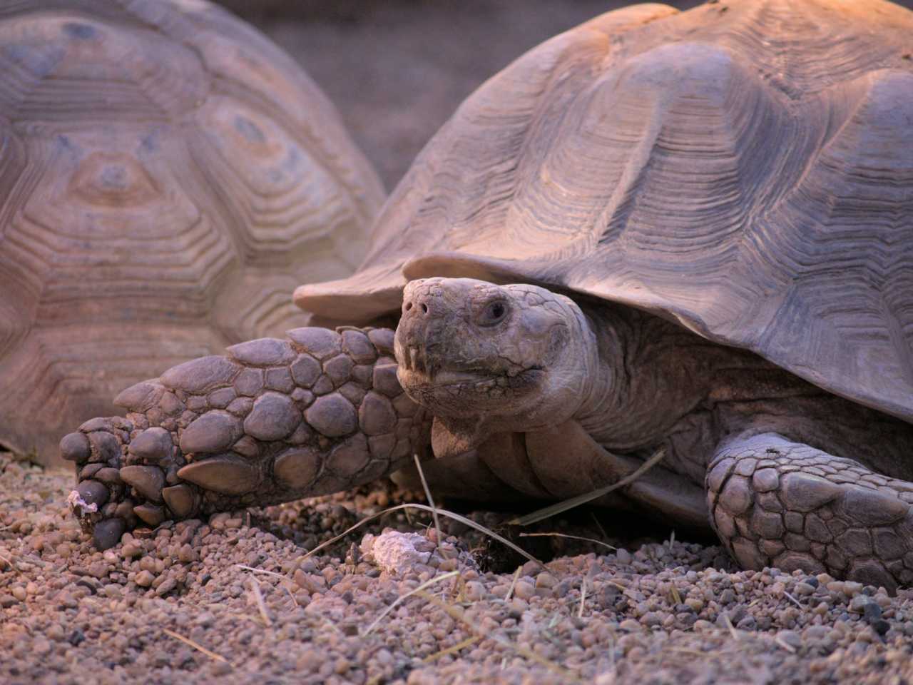Zdjecie miejsca ZOO Wrocław