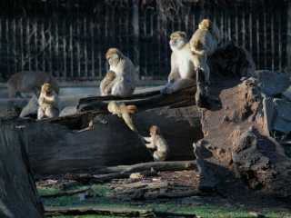Zdjecie miejsca ZOO Wrocław