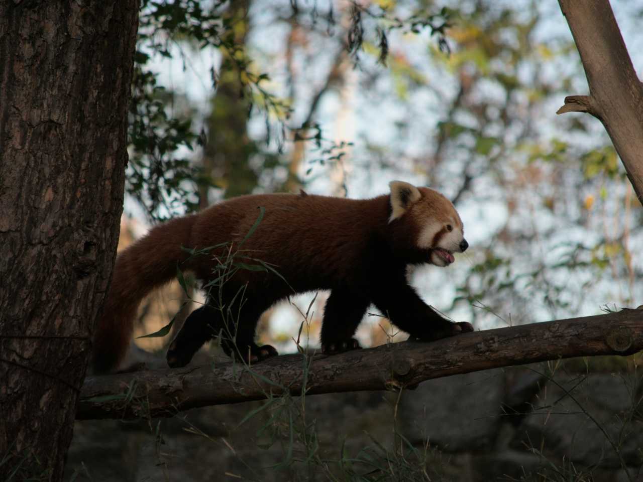 Zdjecie miejsca ZOO Wrocław