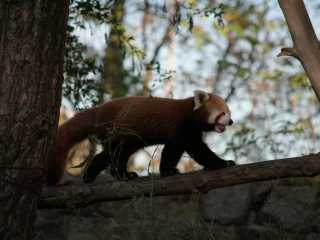 Zdjecie miejsca ZOO Wrocław